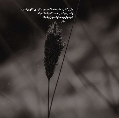 هایده از دست من میری از دست تو میرم